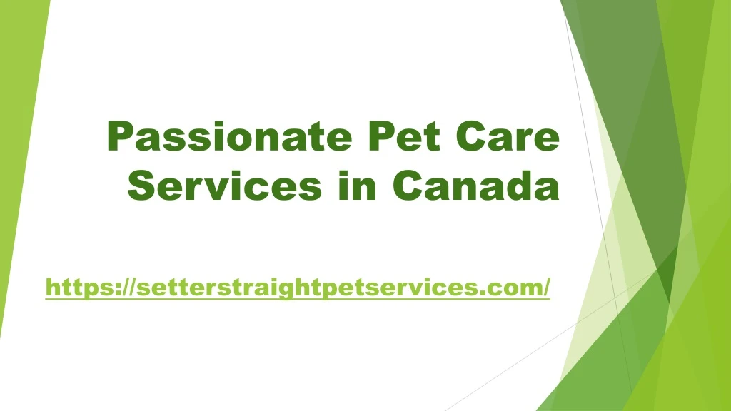 passionate pet care services in canada