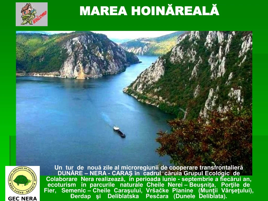 marea hoin real