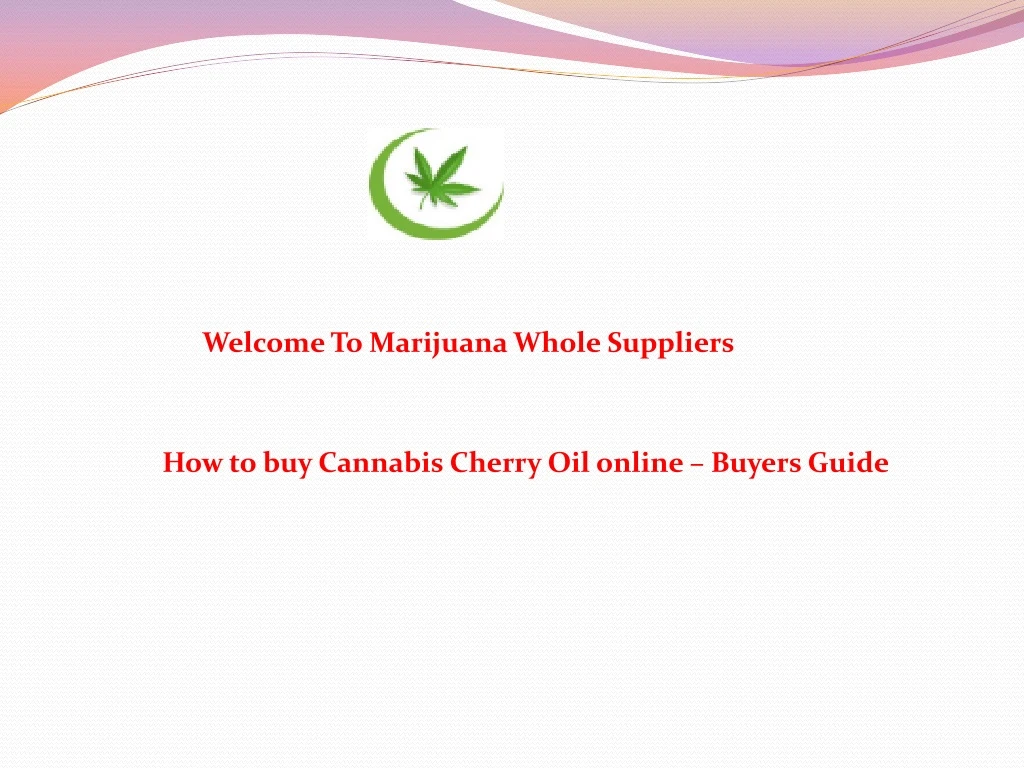 welcome to marijuana whole suppliers