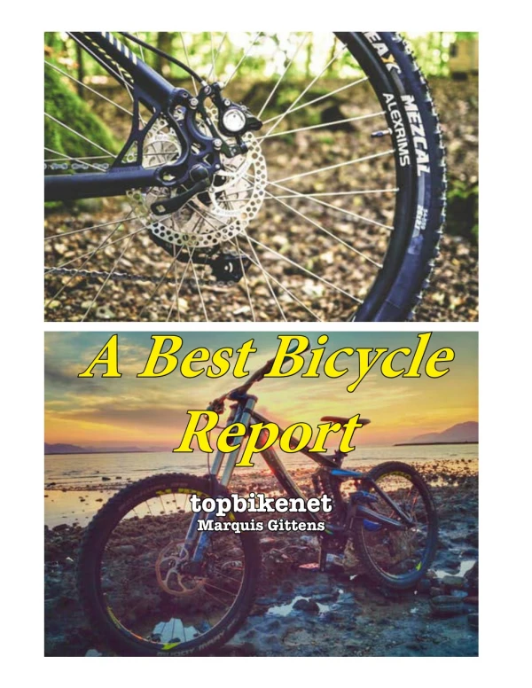 bike report 2019April