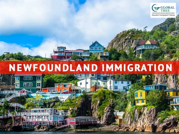 Newfoundland PNP | Newfoundland Immigration Consultants