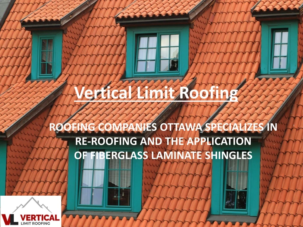 vertical limit roofing