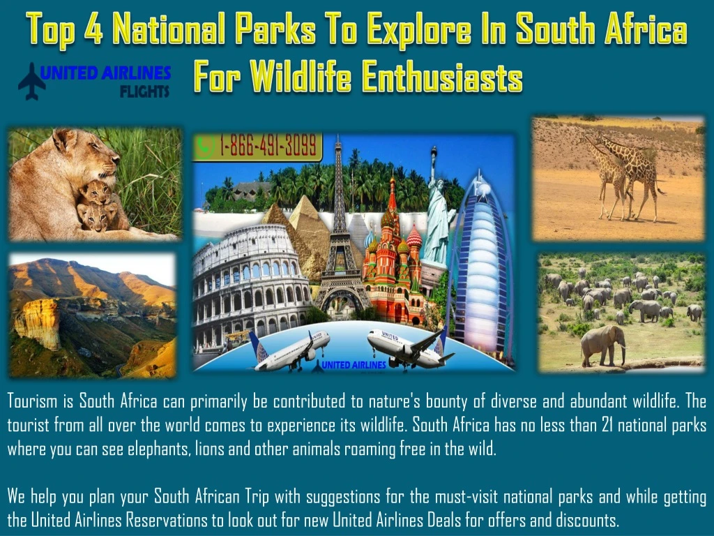 top 4 national parks to explore in south africa