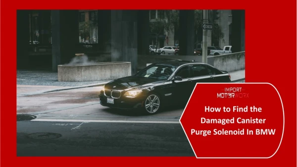 How to Find the Damaged Canister Purge Solenoid in BMW