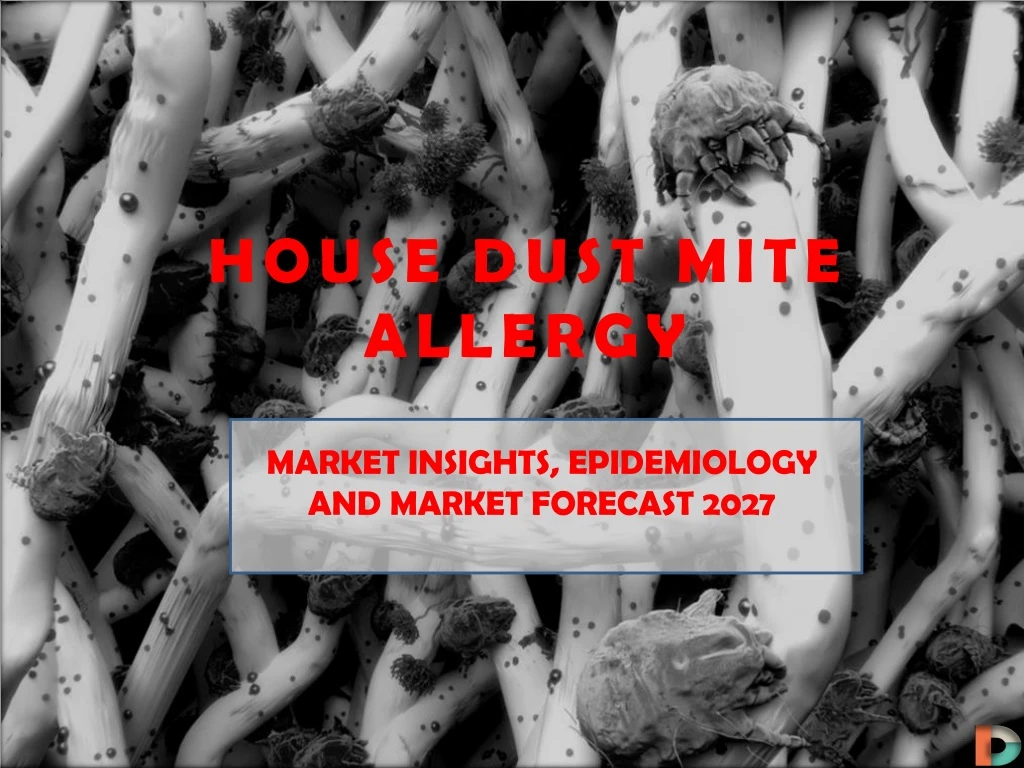house dust mite allergy