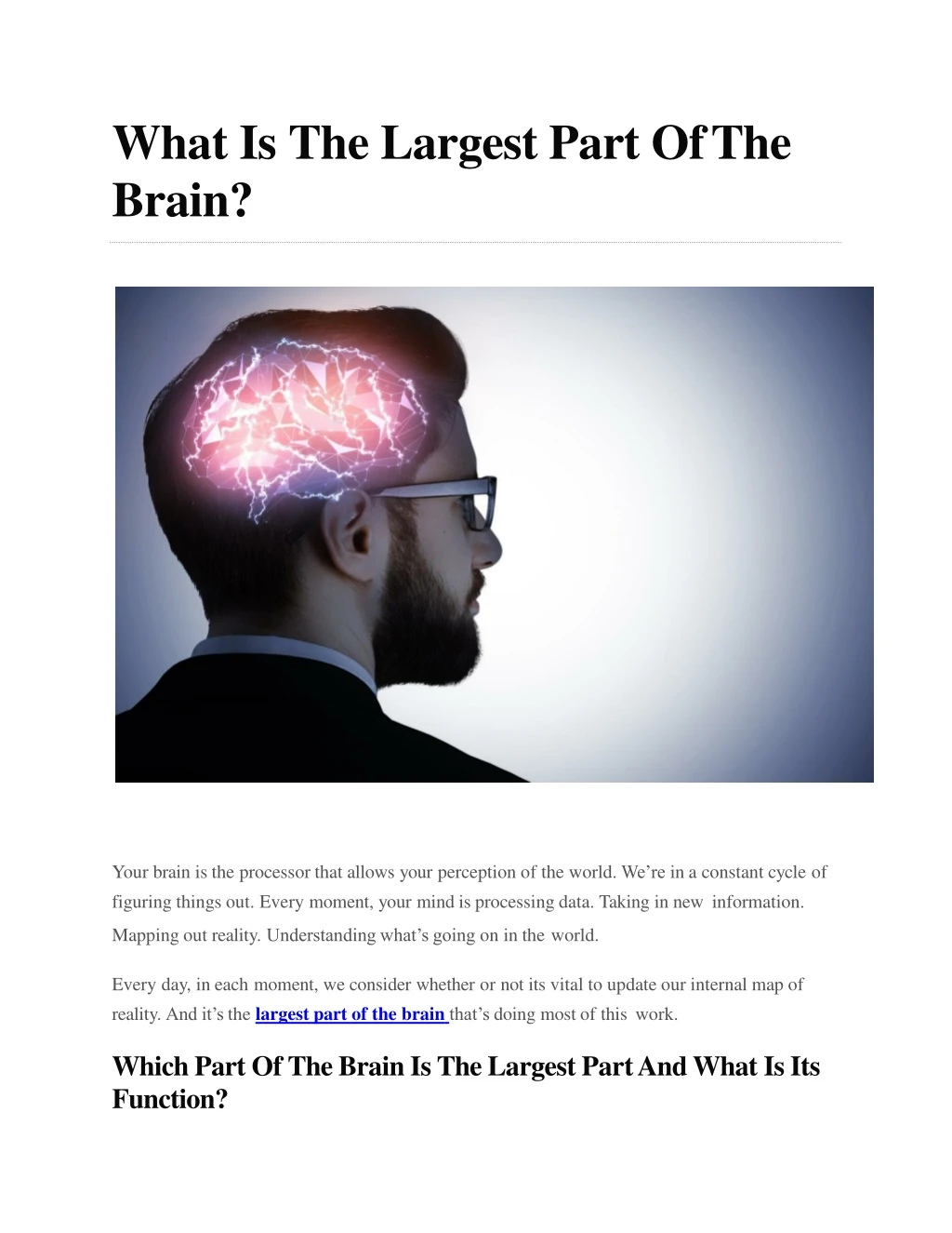 what is the largest part of the brain
