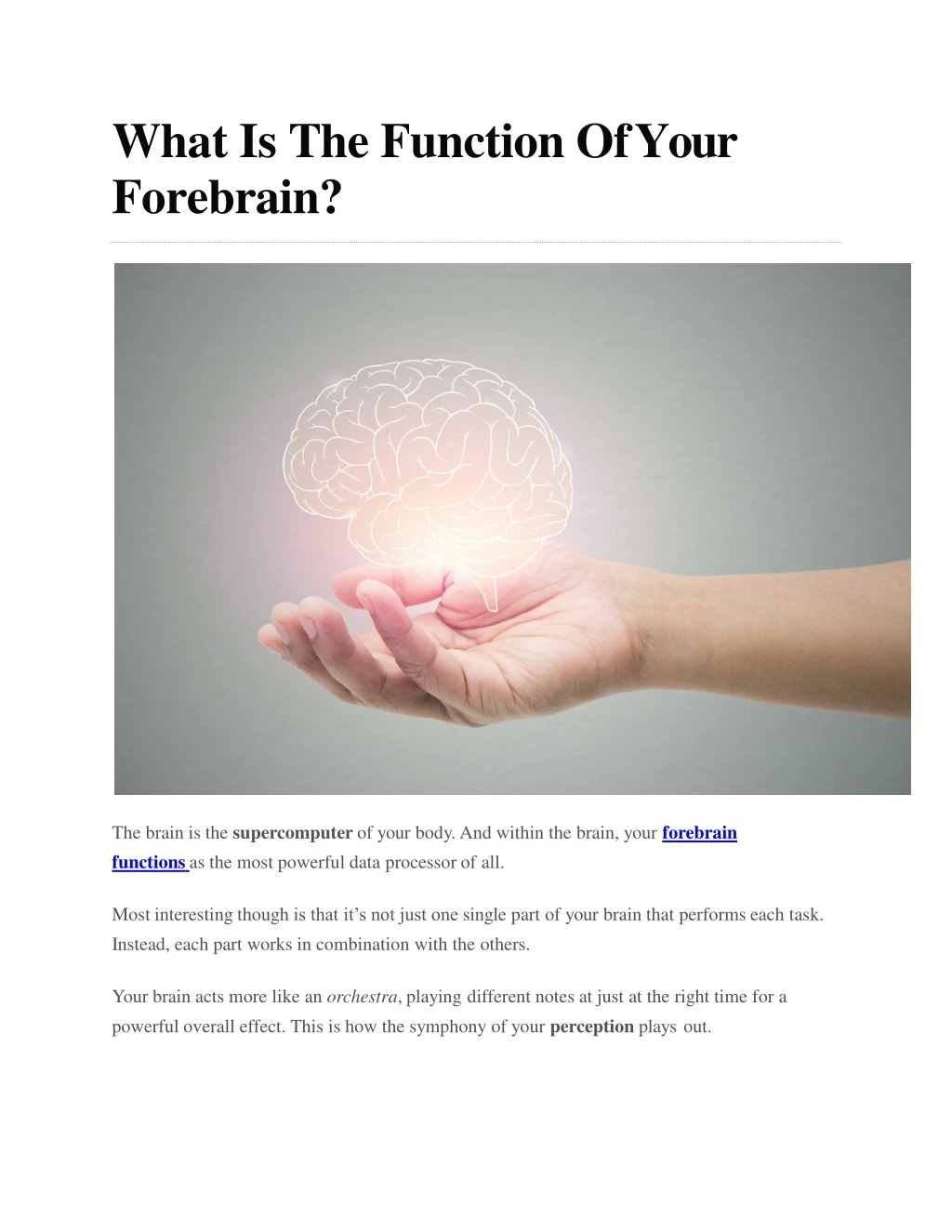 what is the function of your forebrain