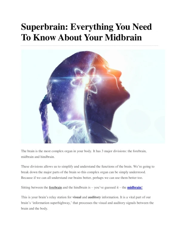 Mid Brain