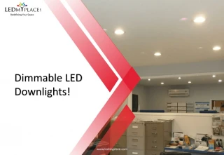 How Many Dimming Options Are There In Dimmable LED Downlights? - slide 1