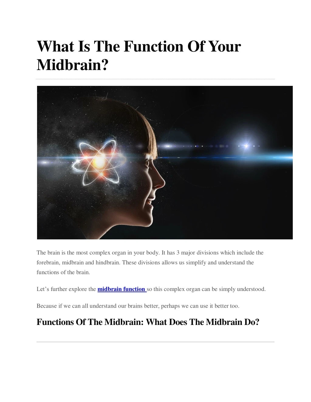 what is the function of your midbrain
