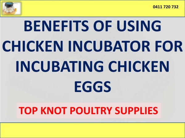 Benefits Of Using Chicken Incubator For Incubating Chicken Eggs - PPT
