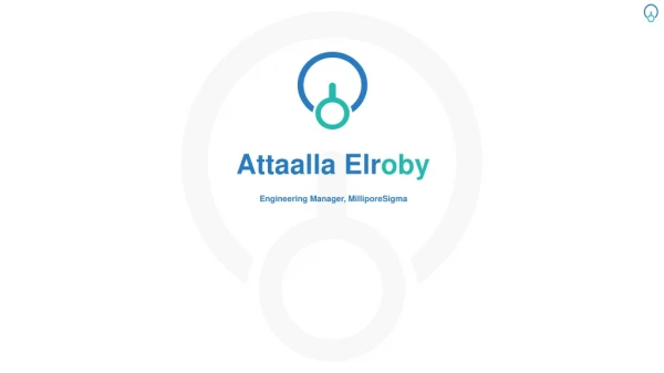 Attaalla Elroby - Electrical Engineer From Massachusetts