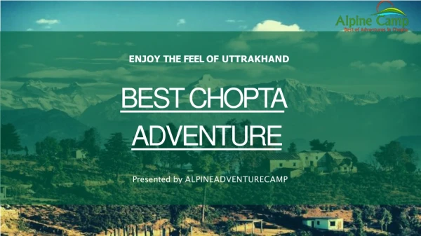 Best Hotels in Chopta, Chopta Uttarakhand, Trekking in Chopta - Alpine Adventure Camp