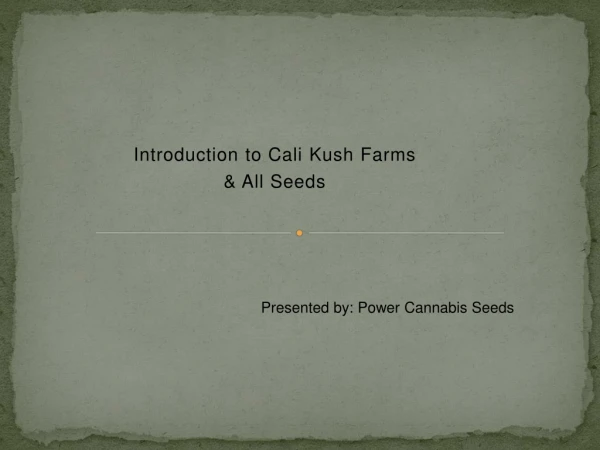 Buy Cali Kush Farms Seeds | Cannabis Seeds in London