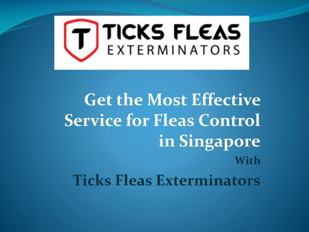 get the most effective service for fleas control in singapore with ticks fleas exterminators