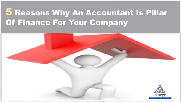 5 Reasons Why An Accountant Is Pillar Of Finance For Your Company
