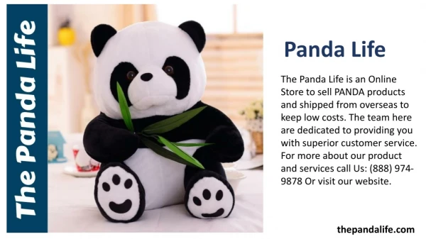 Elegant Panda Lovers Gift Ideas|Best Deals