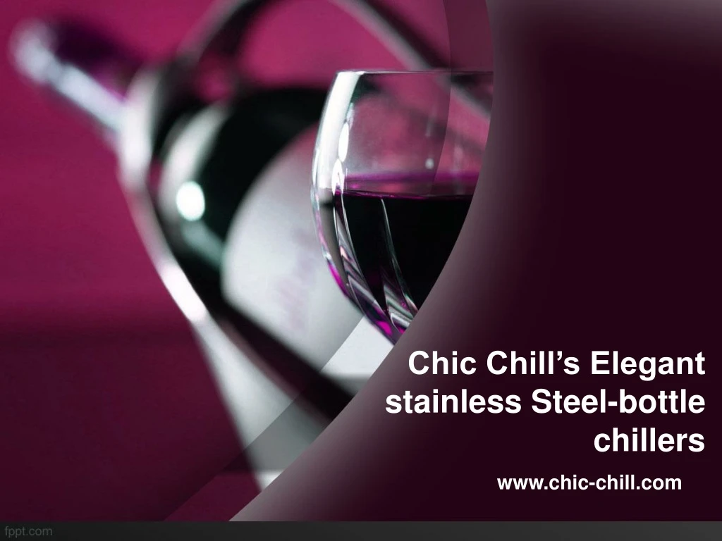 chic chill s elegant stainless steel bottle chillers