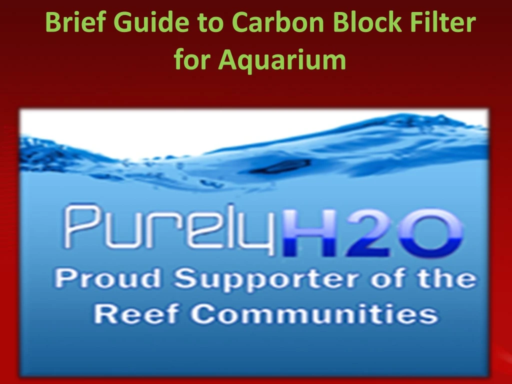 brief guide to carbon block filter for aquarium