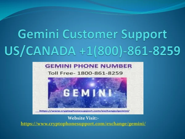 Gemini Support number Gemini image error