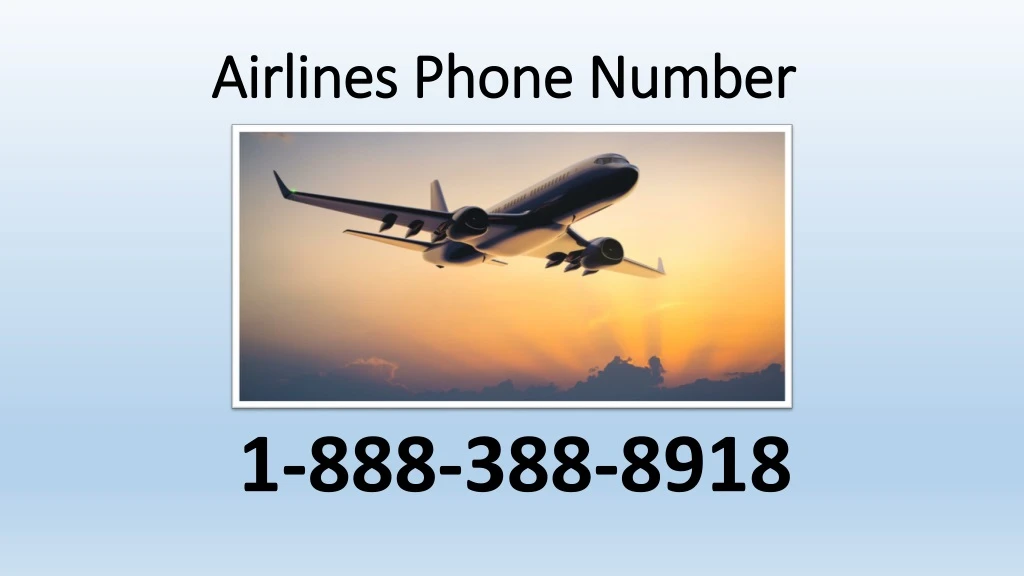 airlines phone number