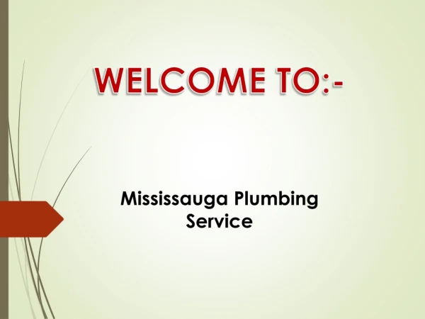 Get the best Toilet Installation Service in Mississauga