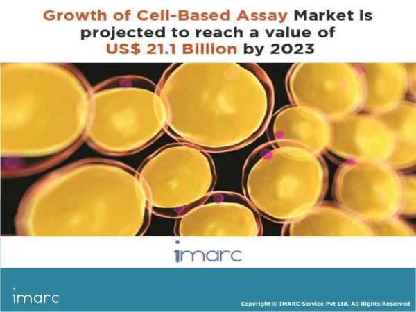 Cell Based Assay Market: Global Trends, Growth, Share, Size, Regional Demand and Forecast Till 2023
