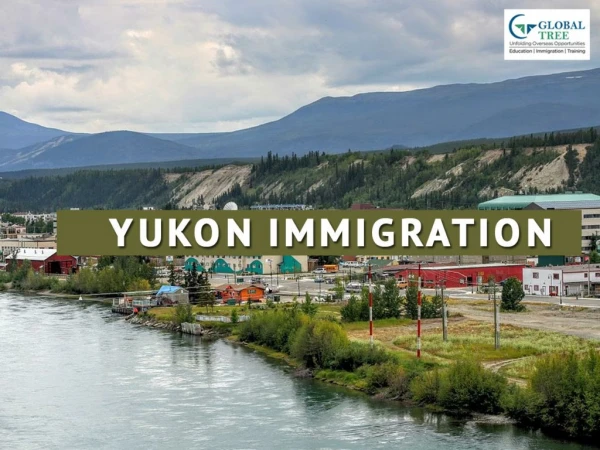 Yukon Provincial Nominee Program | YPNP Consultants - Global Tree.