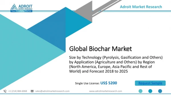 Biochar Market Sales & Overview 2019-2025