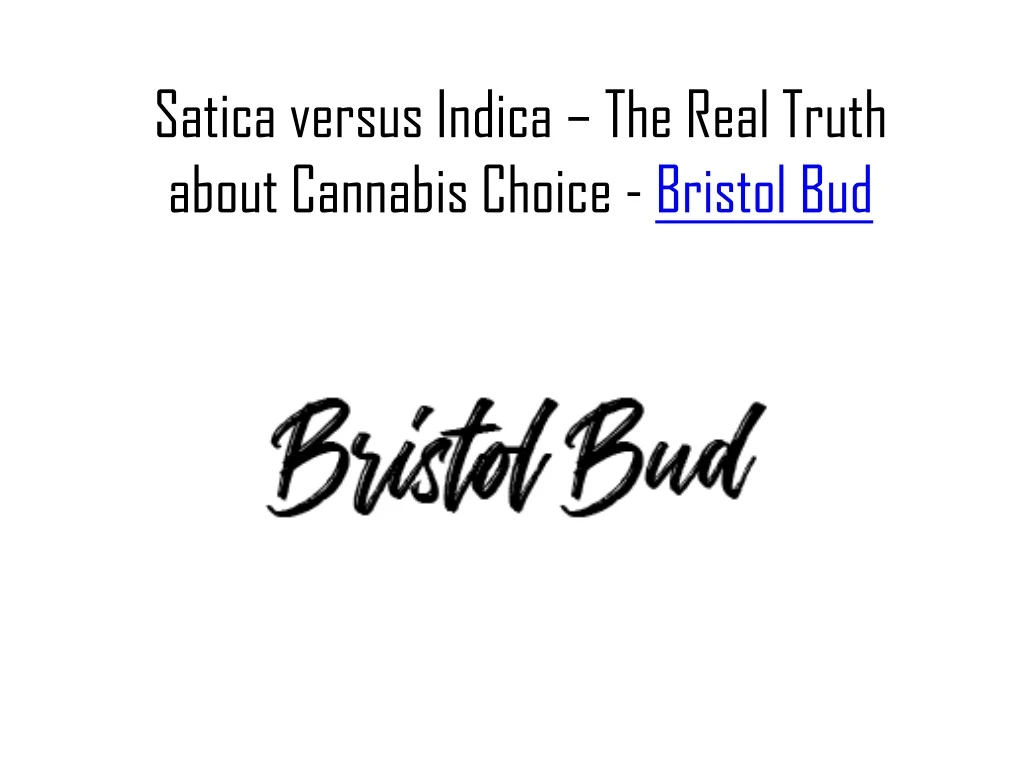 satica versus indica the real truth about cannabis choice bristol bud