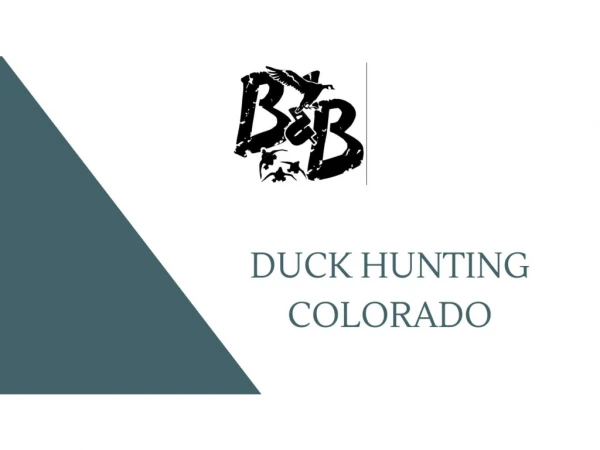 Duck Hunting Colorado