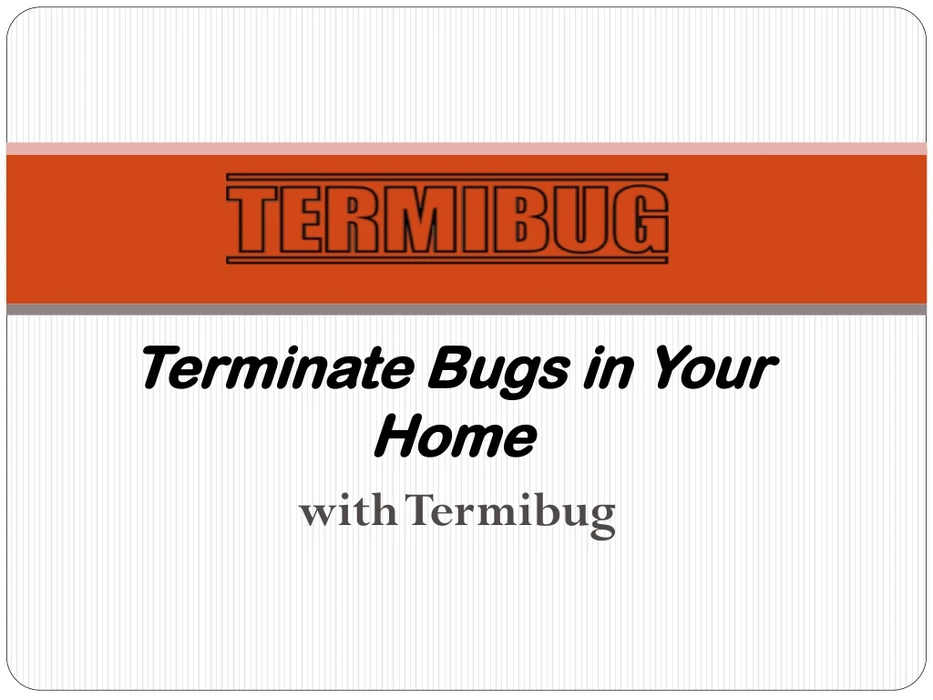 terminate bugs in your home with termibug