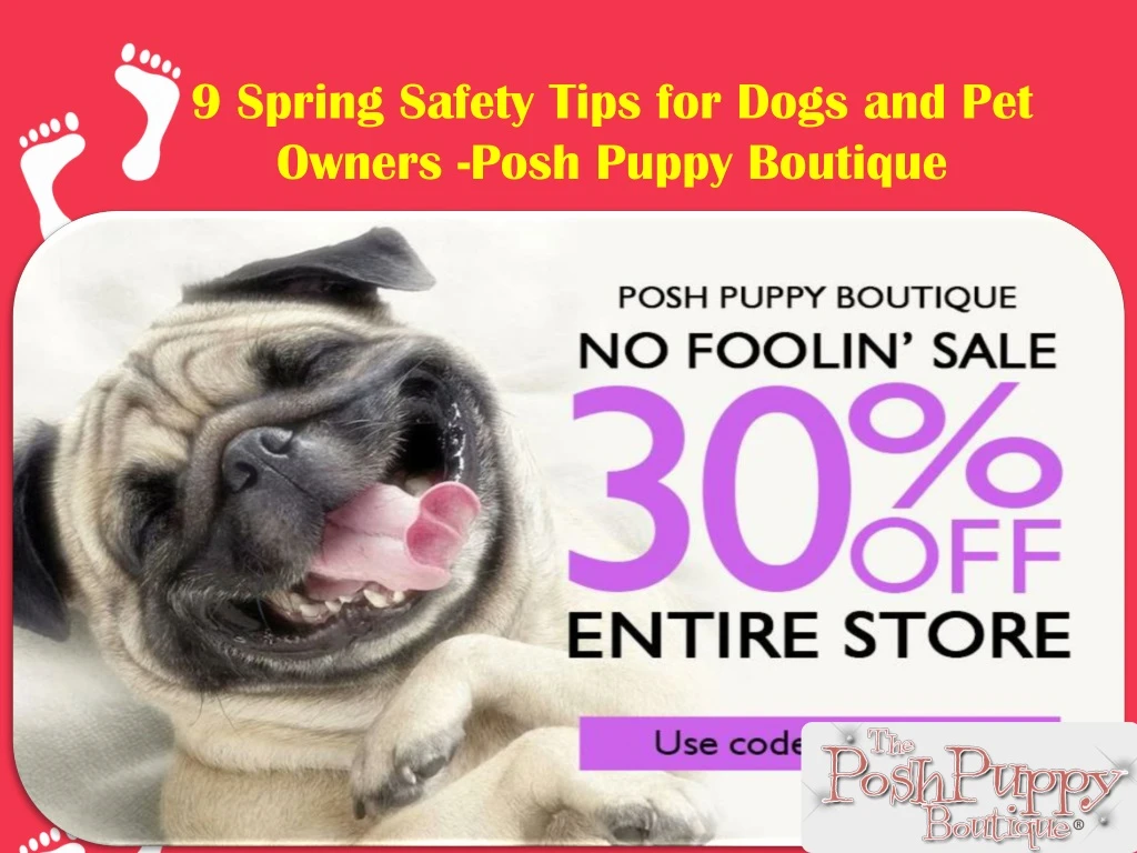 9 spring safety tips for dogs and pet owners posh puppy boutique