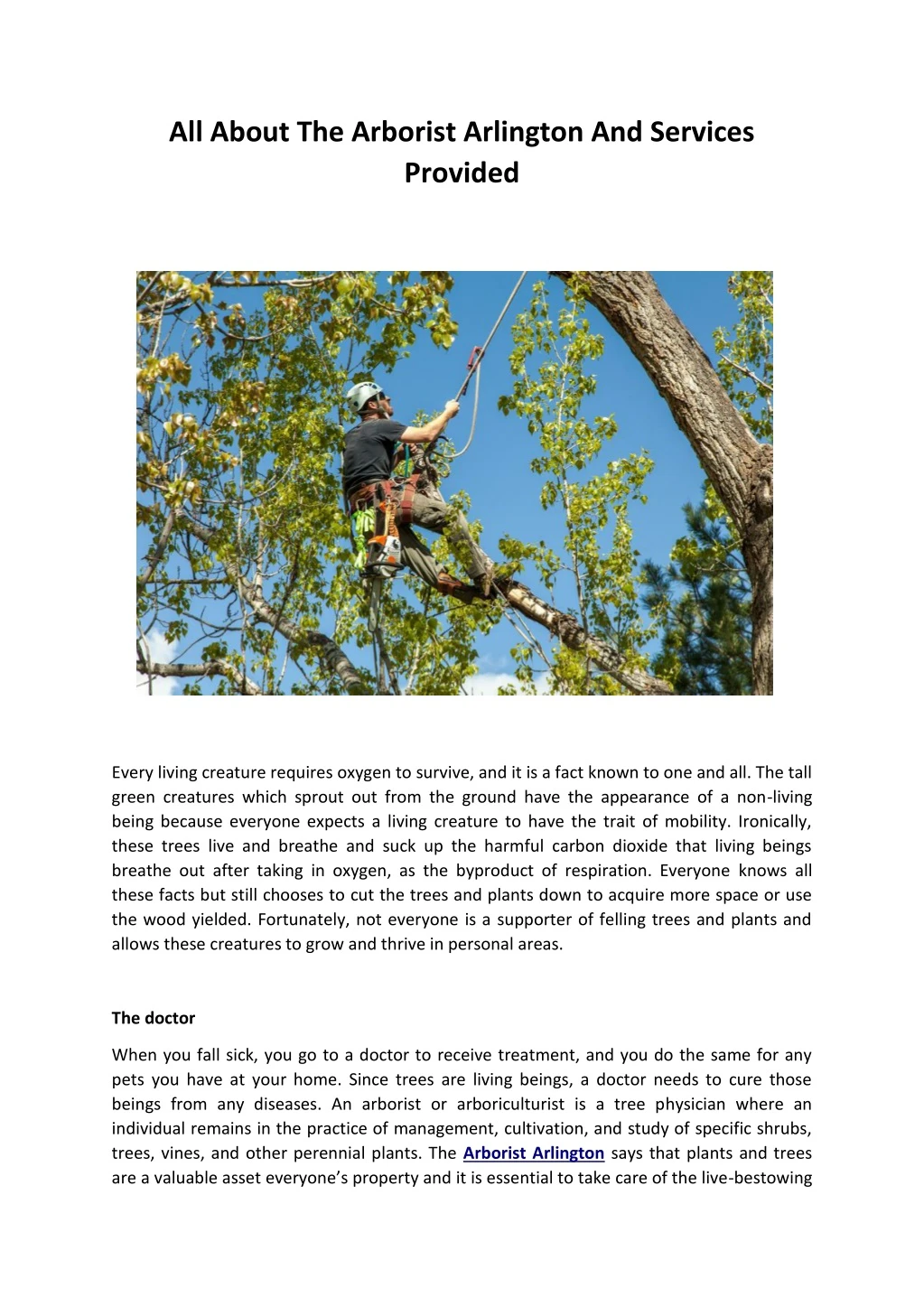 all about the arborist arlington and services