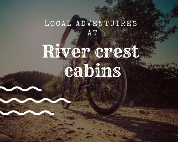 local adventuires at