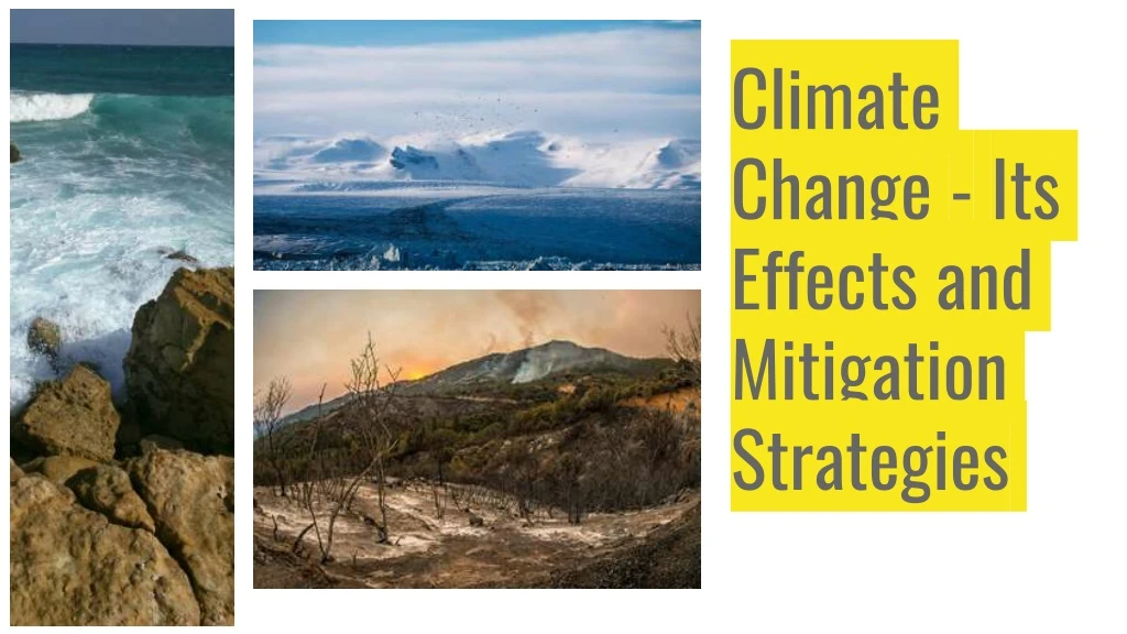 climate change its effects and mitigation
