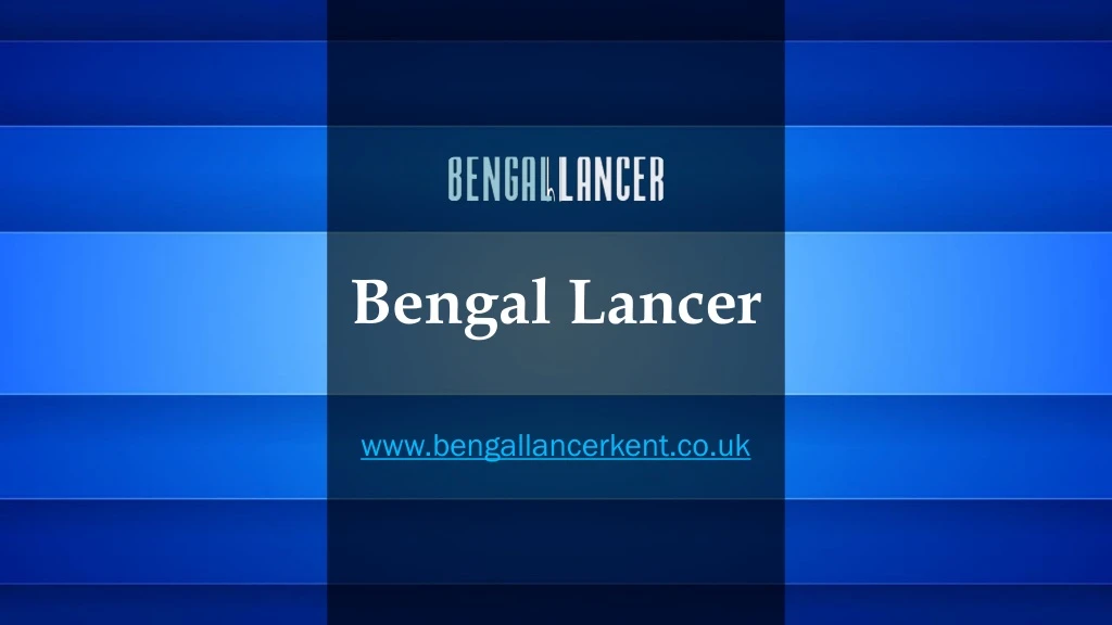 bengal lancer