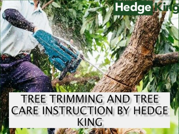 Tree trimming and tree care instruction by hedge king