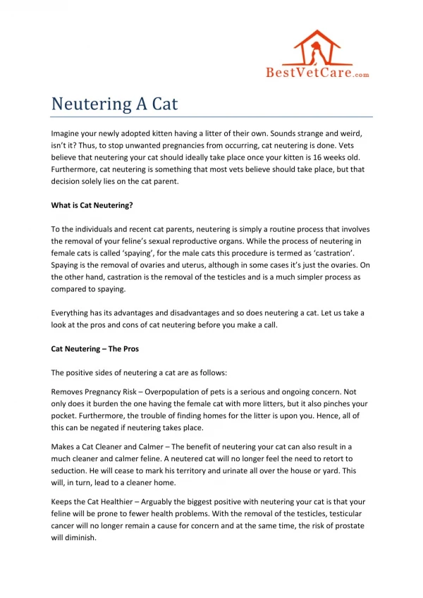 Neutering A Cat