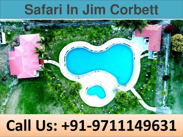 Safari In Jim Corbett