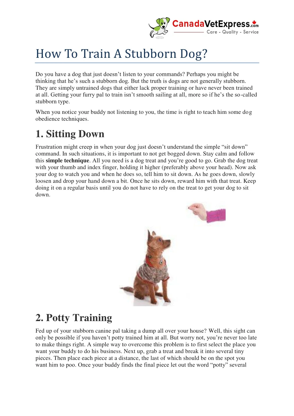 how to train a stubborn dog
