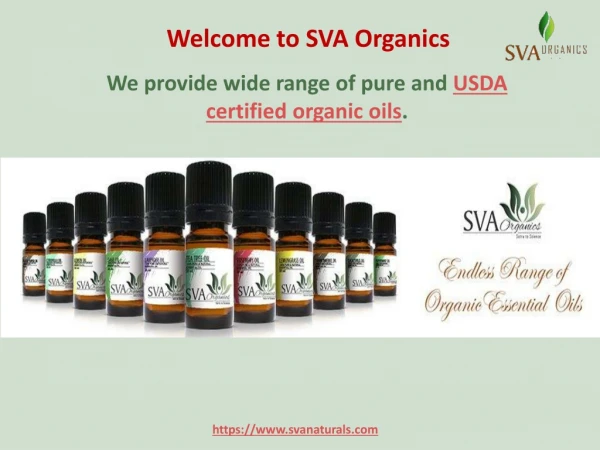 SVA organics is Pure Essential Oils Supplier in India