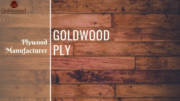Goldwood Ply : Plywood Manufacturers in Haryana