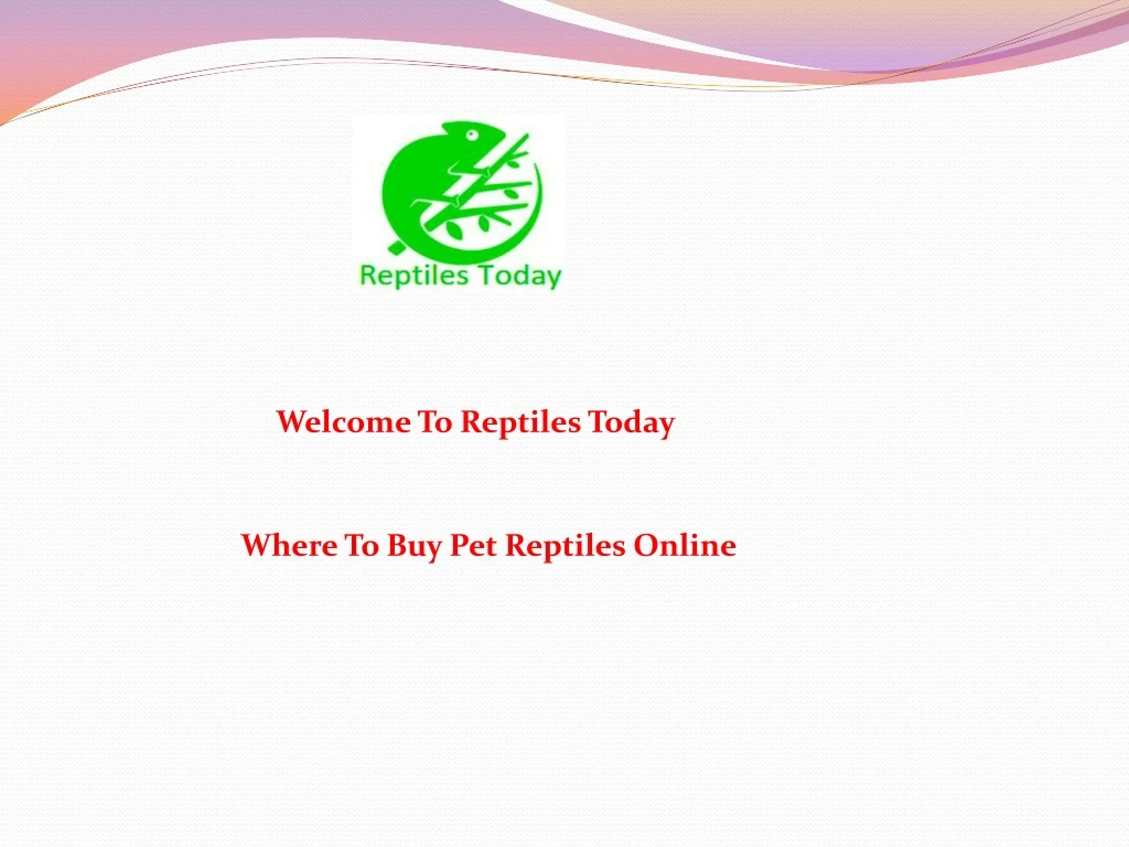 welcome to reptiles today