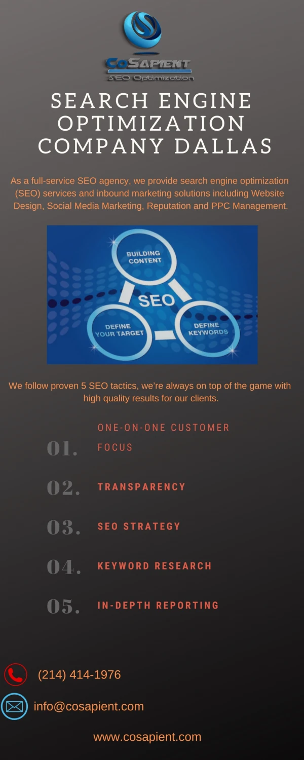 search engine optimization company dallas