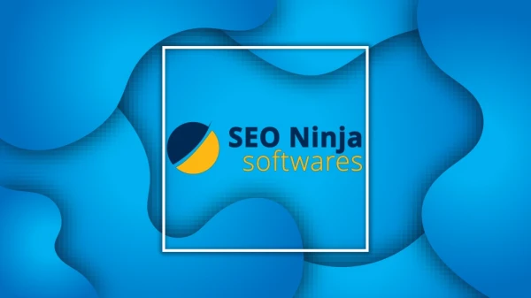 Free Page Authority Checker | SEO Ninja Softwares