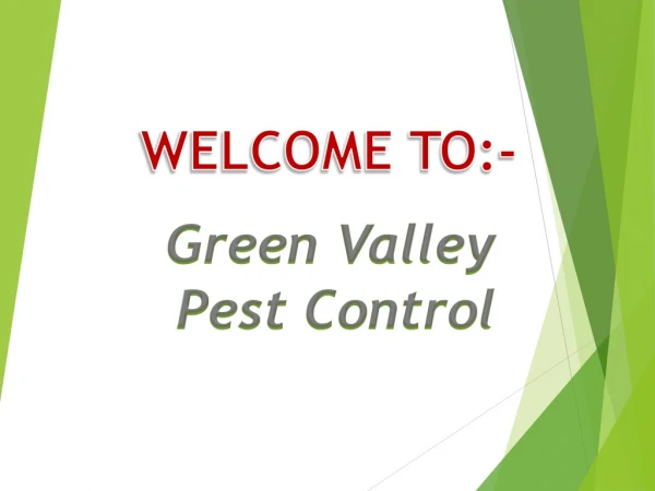 Pest Control in Glen Valley