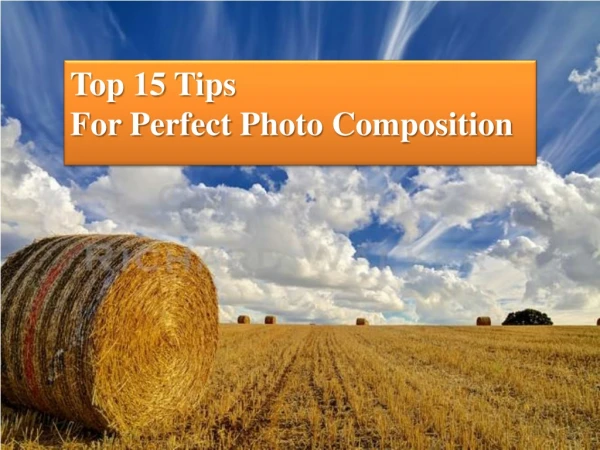 Top 15 Tips For Perfect Photo Composition For Beginners