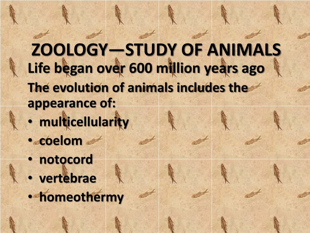 zoology study of animals
