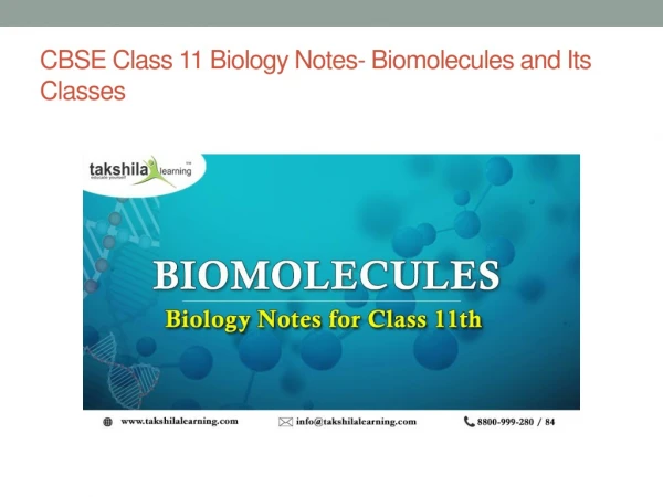 CBSE Class 11 Biology - What is Biomolecules and Its Classes?